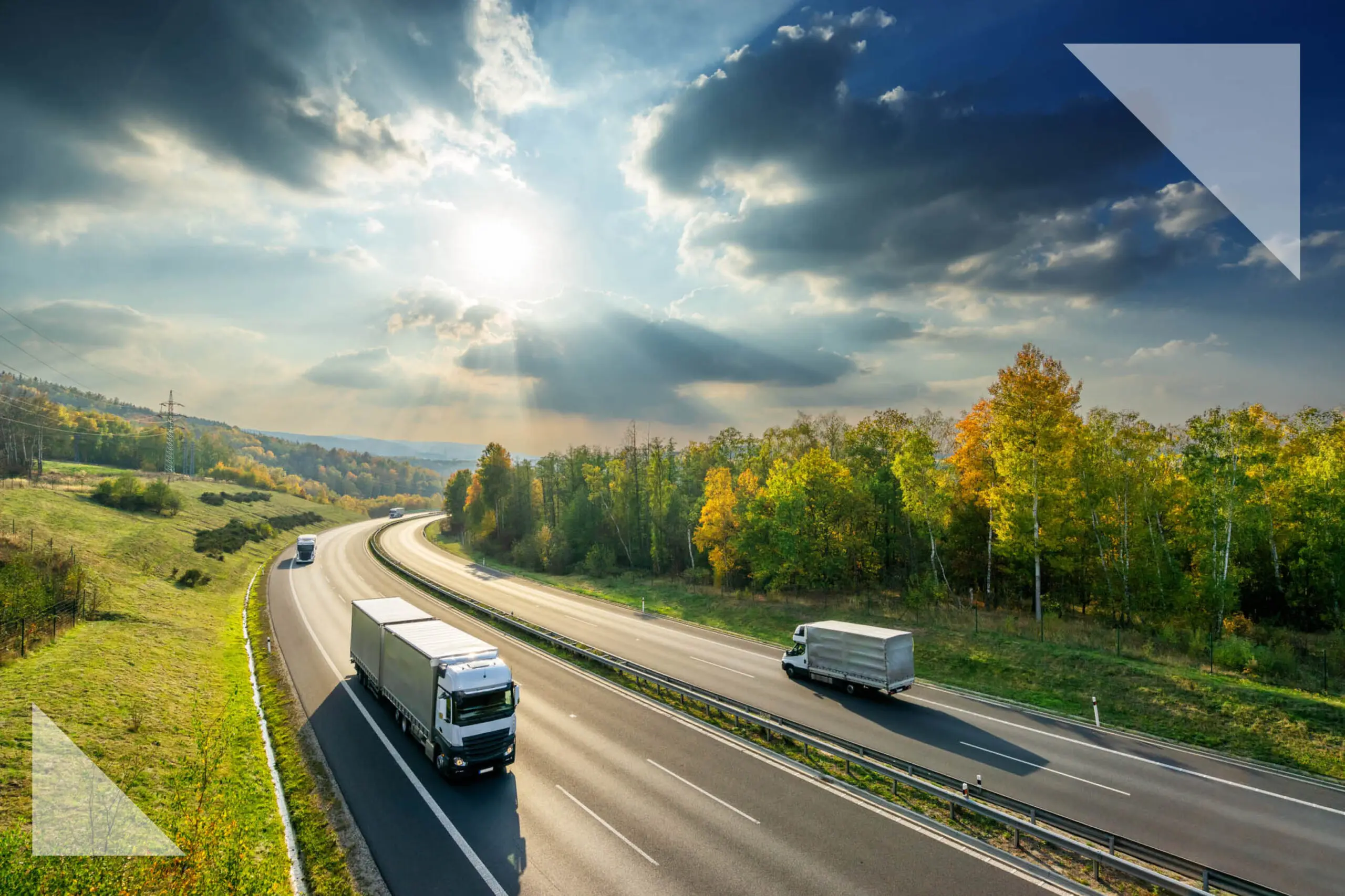 Prohire named ‘rental and contract hire company’ of the year at TCS&D Awards 2019