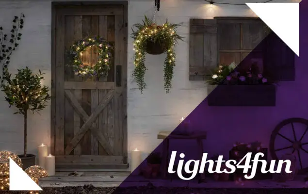 Chair and CFO appointments at NorthEdge-backed Lights4fun to support growth and US expansion