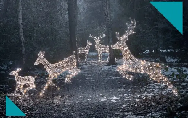 A bright start for Lights4fun – one year on from our investment