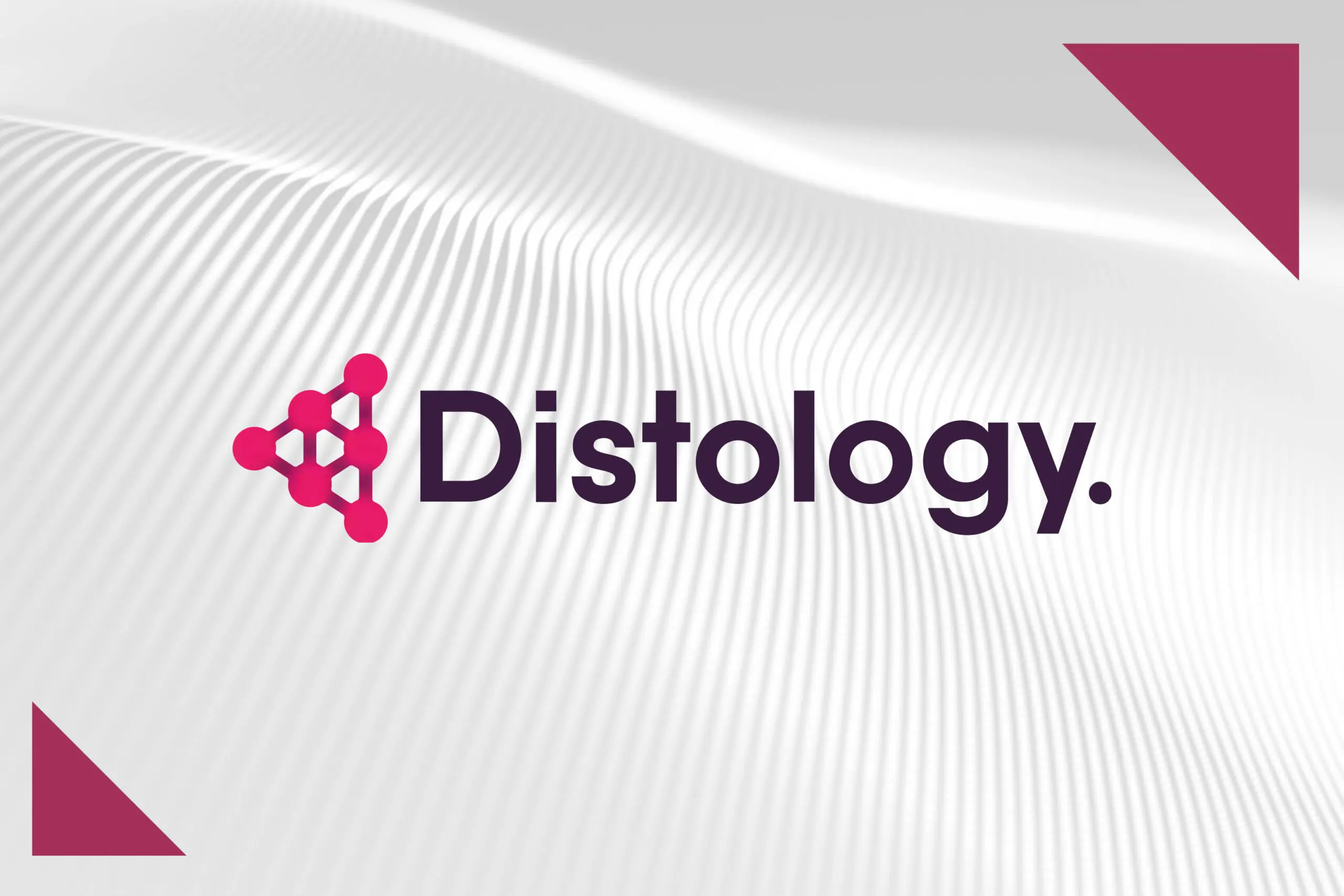 NorthEdge supports Distology’s acquisition of Squareball Digital