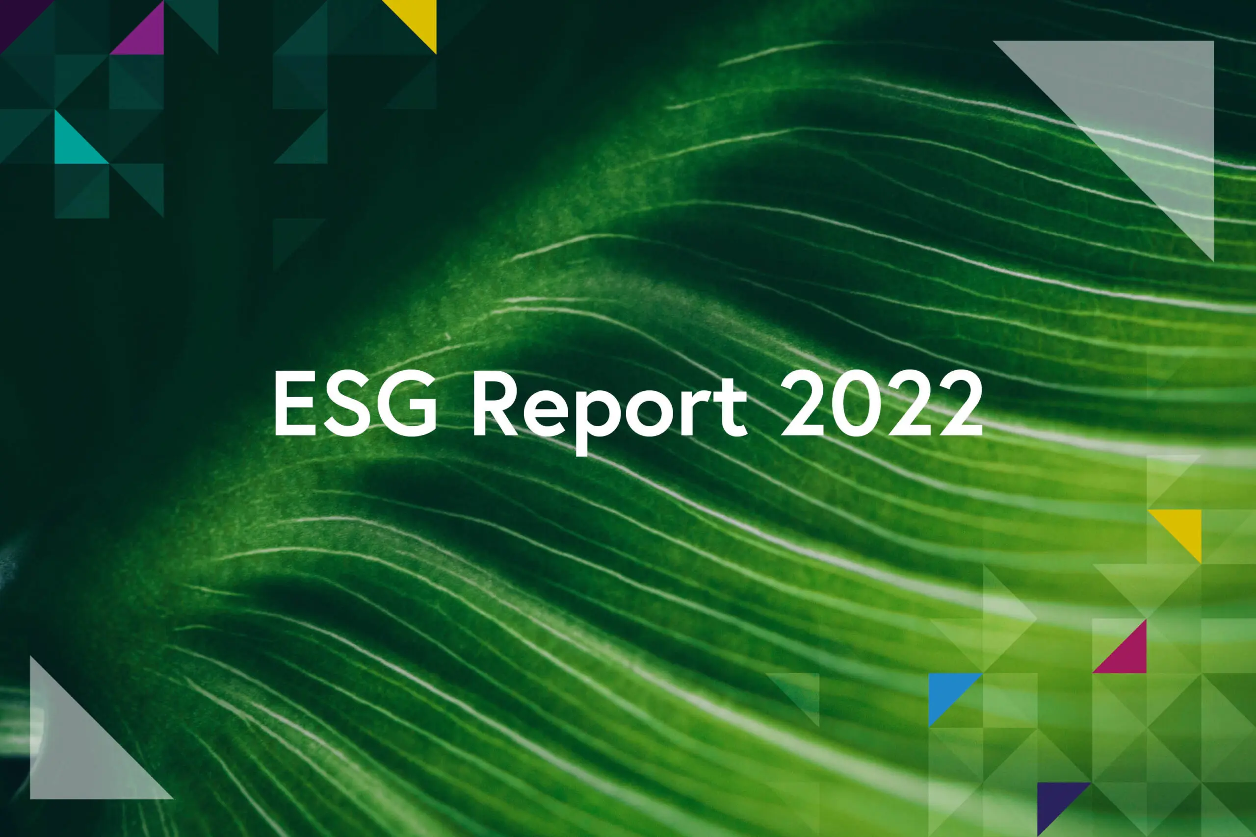 ESG Report 2022