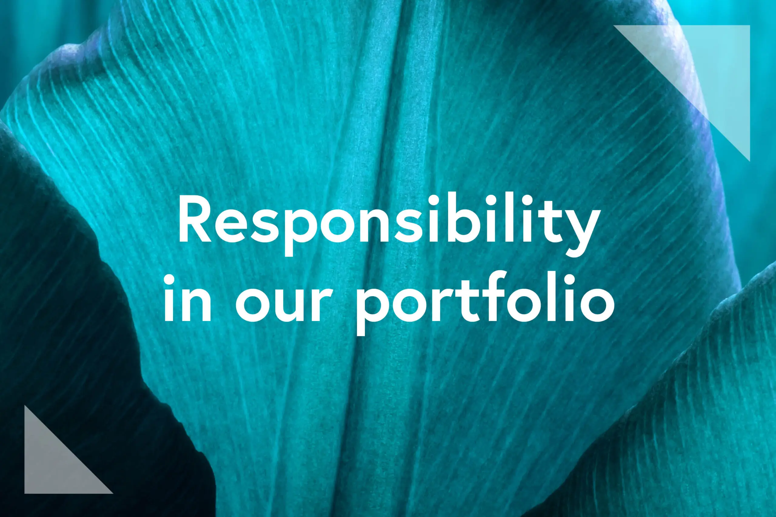Responsibility in our portfolio