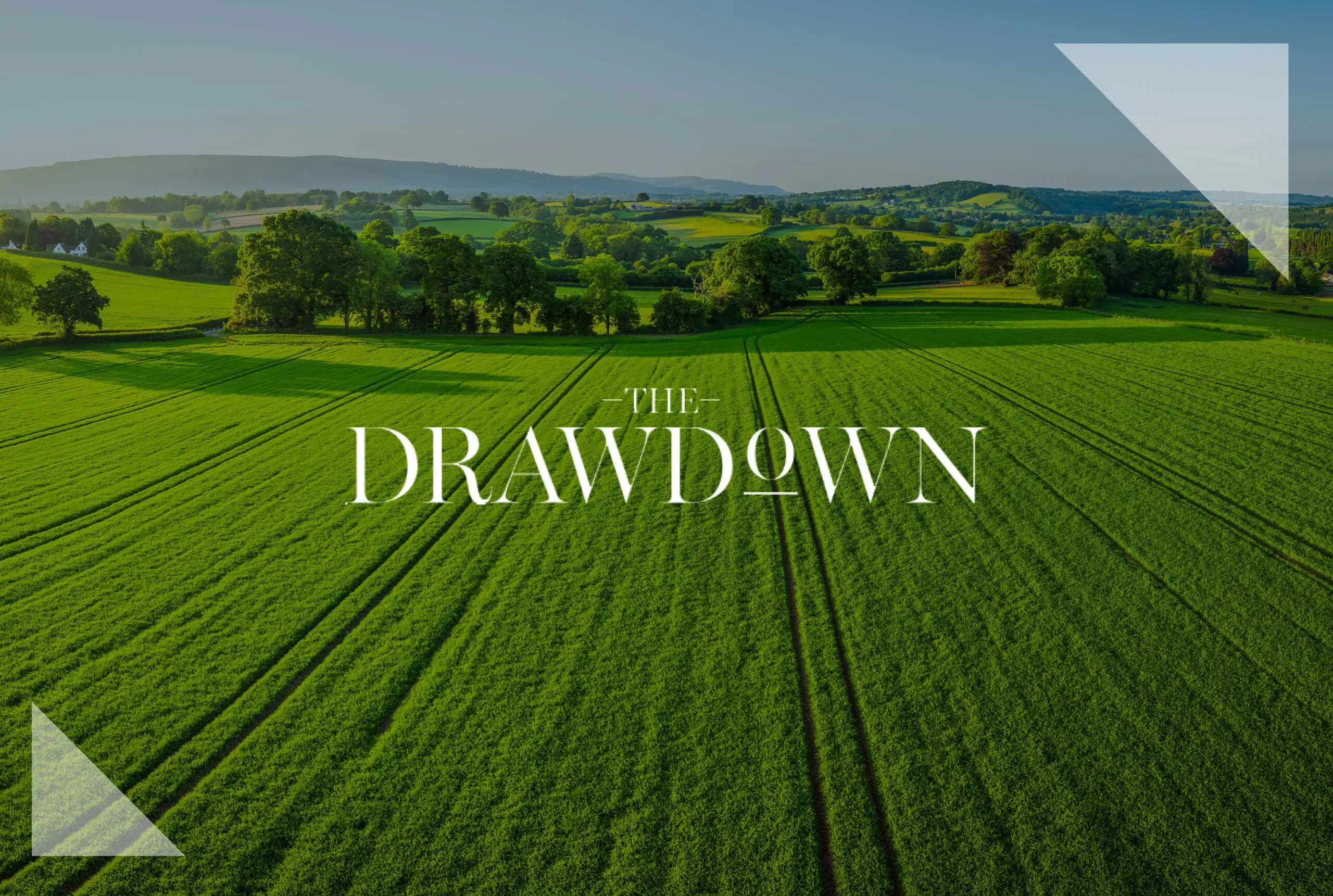 The Drawdown: NorthEdge discusses how PE firms can decarbonise their operations