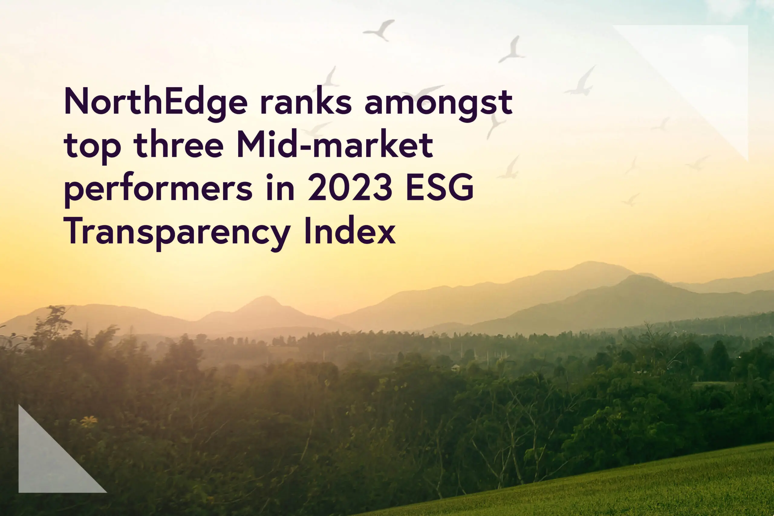 NorthEdge ranks amongst top three mid-market performers in 2023 ESG Transparency Index